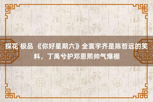 探花 极品 《你好星期六》全寰宇齐是陈哲远的笑料，丁禹兮护邓恩熙帅气爆棚