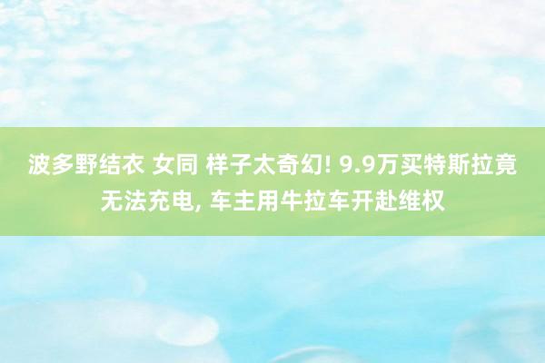 波多野结衣 女同 样子太奇幻! 9.9万买特斯拉竟无法充电， 车主用牛拉车开赴维权