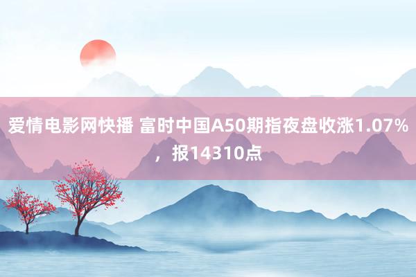 爱情电影网快播 富时中国A50期指夜盘收涨1.07%，报14310点