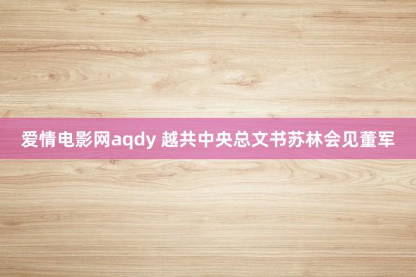 爱情电影网aqdy 越共中央总文书苏林会见董军