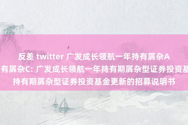 反差 twitter 广发成长领航一年持有羼杂A,广发成长领航一年持有羼杂C: 广发成长领航一年持有期羼杂型证券投资基金更新的招募说明书