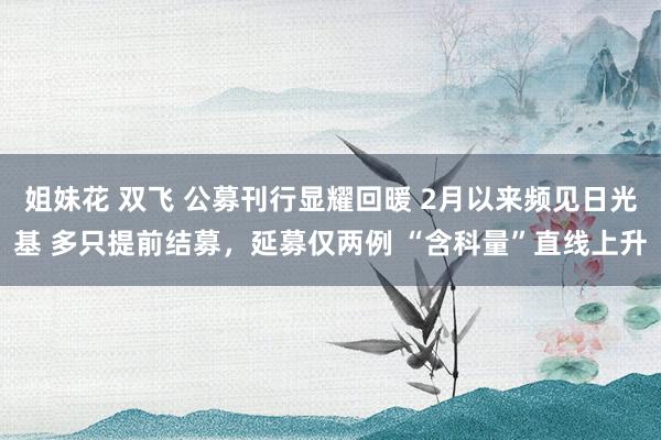 姐妹花 双飞 公募刊行显耀回暖 2月以来频见日光基 多只提前结募，延募仅两例 “含科量”直线上升