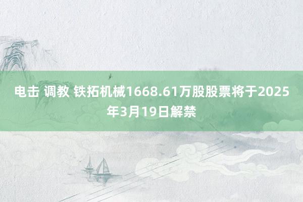 电击 调教 铁拓机械1668.61万股股票将于2025年3月19日解禁