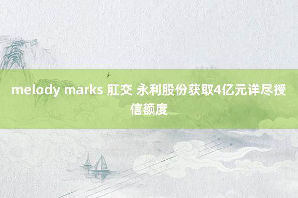 melody marks 肛交 永利股份获取4亿元详尽授信额度