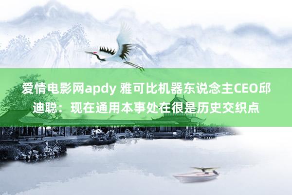 爱情电影网apdy 雅可比机器东说念主CEO邱迪聪：现在通用本事处在很是历史交织点