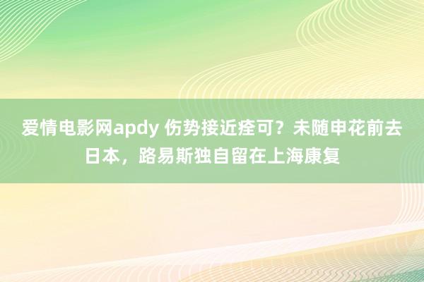 爱情电影网apdy 伤势接近痊可?未随申花前去日本,路易斯独自留在上海康复
