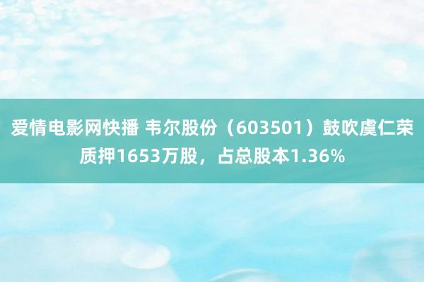 爱情电影网快播 韦尔股份（603501）鼓吹虞仁荣质押1653万股，占总股本1.36%