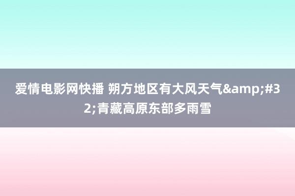 爱情电影网快播 朔方地区有大风天气&#32;青藏高原东部多雨雪