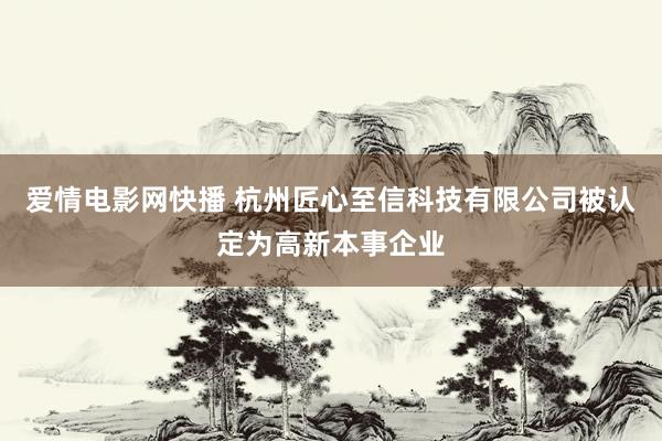 爱情电影网快播 杭州匠心至信科技有限公司被认定为高新本事企业