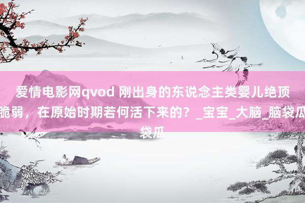 爱情电影网qvod 刚出身的东说念主类婴儿绝顶脆弱，在原始时期若何活下来的？_宝宝_大脑_脑袋瓜