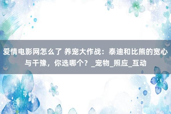 爱情电影网怎么了 养宠大作战：泰迪和比熊的宽心与干豫，你选哪个？_宠物_照应_互动