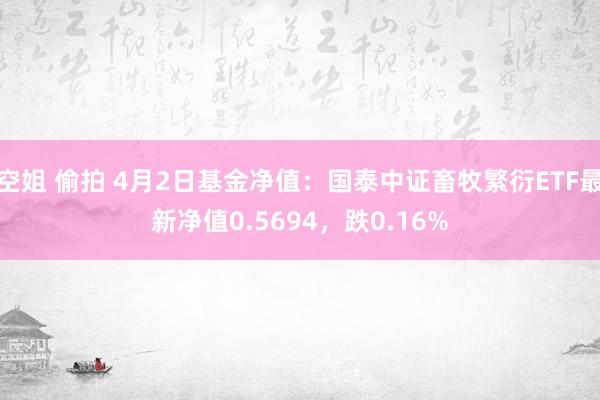 空姐 偷拍 4月2日基金净值：国泰中证畜牧繁衍ETF最新净值0.5694，跌0.16%