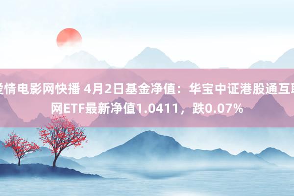 爱情电影网快播 4月2日基金净值：华宝中证港股通互联网ETF最新净值1.0411，跌0.07%