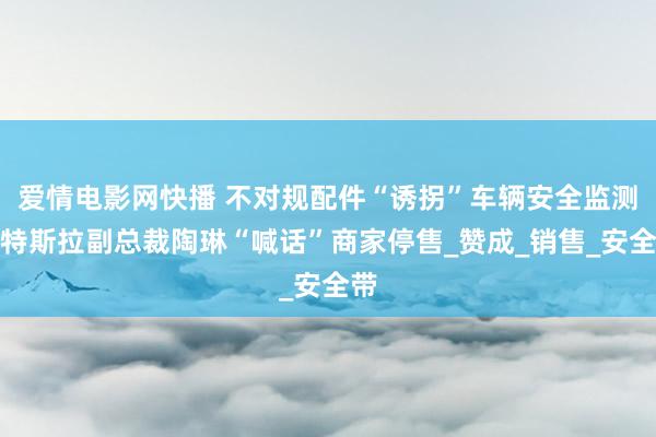 爱情电影网快播 不对规配件“诱拐”车辆安全监测，特斯拉副总裁陶琳“喊话”商家停售_赞成_销售_安全带